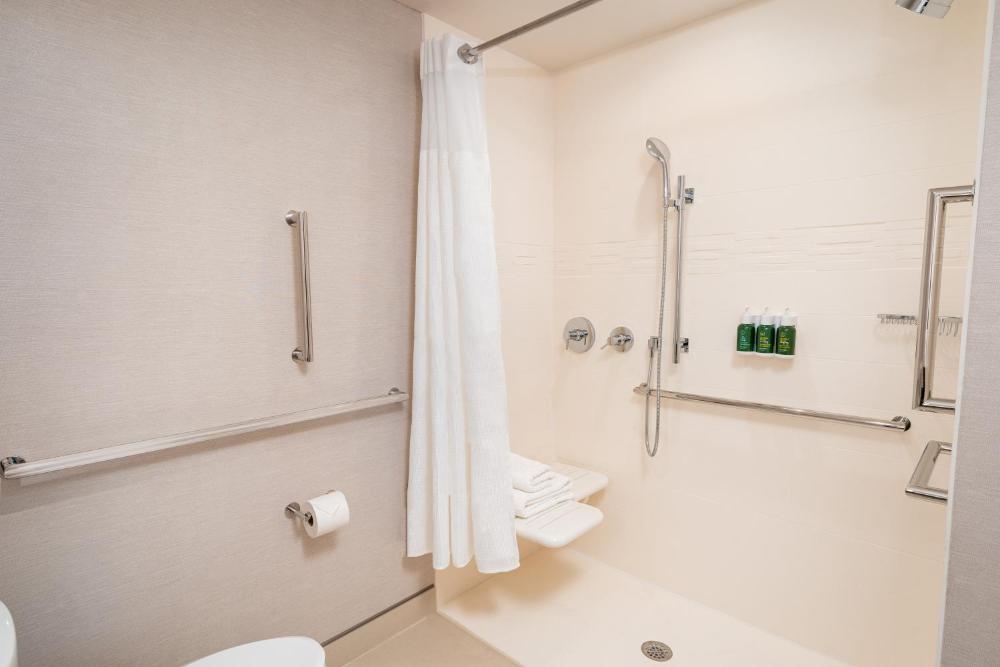 Studio King Suite with Sofa Bed and City View - Mobility/Hearing Accessible with Roll-In Shower interior